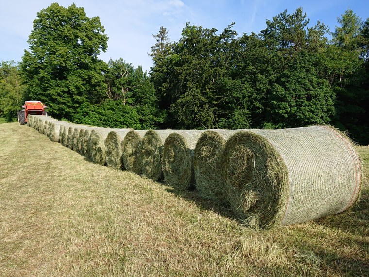 Bestes Heu aus eigener Produktion