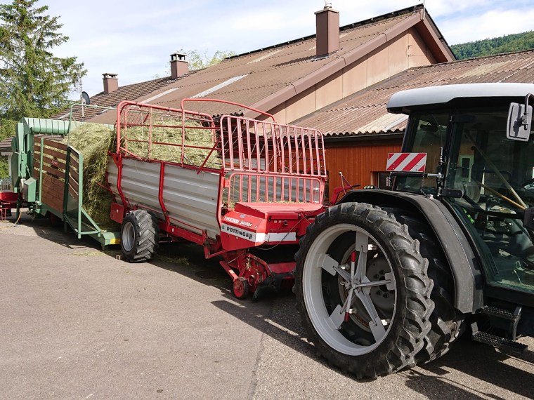 Bestes Heu aus eigener Produktion