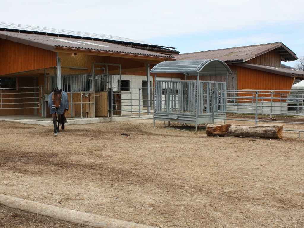 Aktiv-Offenstall mit Computerfütterung