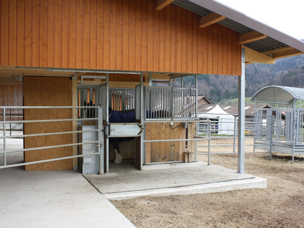 Aktiv-Offenstall mit Computerfütterung