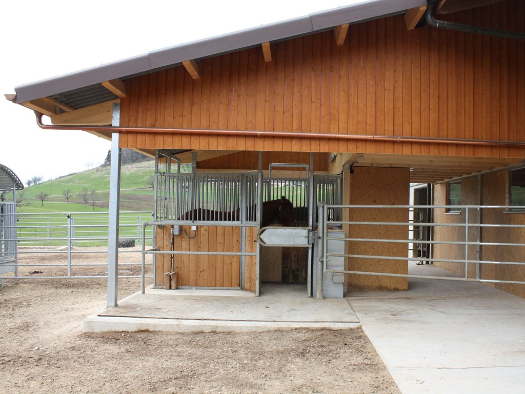 Aktiv-Offenstall mit Computerfütterung