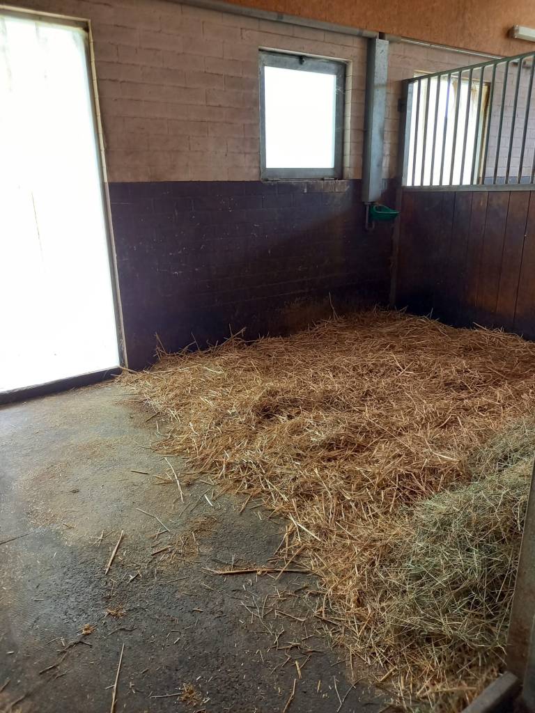 Auslaufboxe mit Stroh-Einstreu
