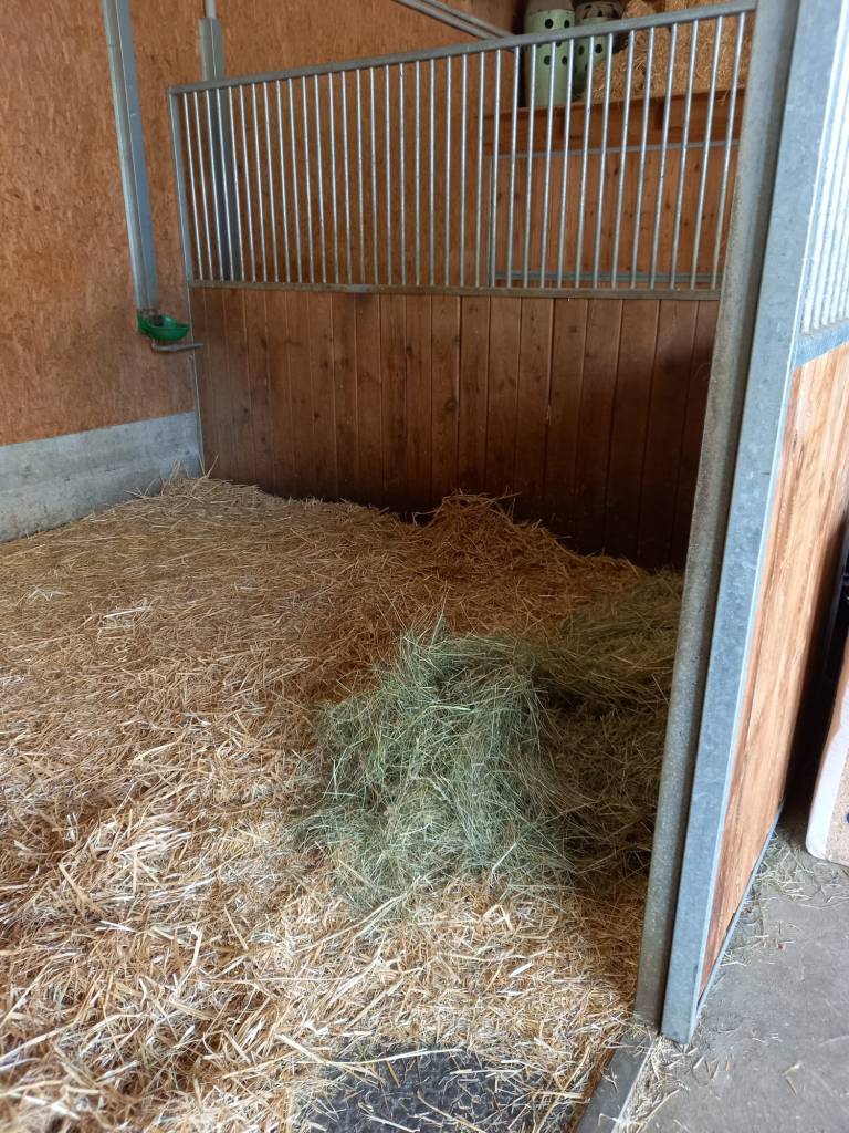 Nachtboxe mit Stroh-Einstreu