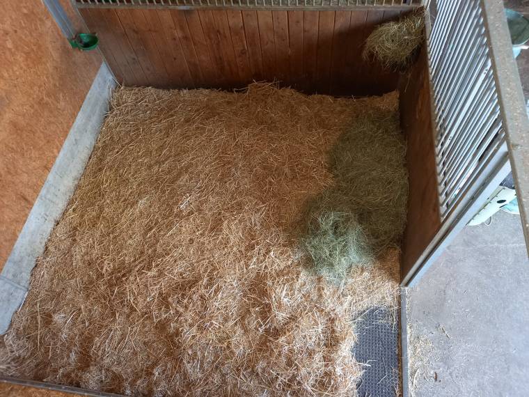 Nachtboxe mit Stroh-Einstreu