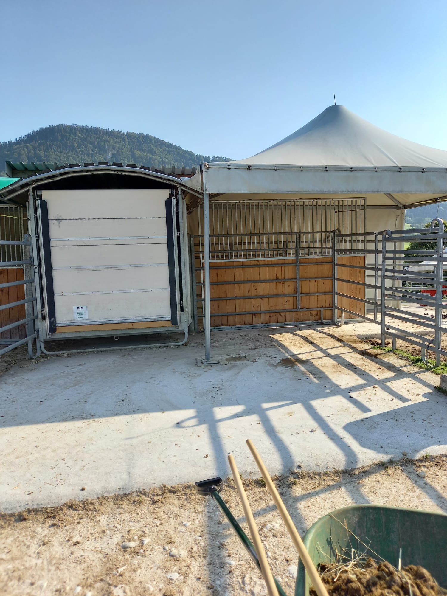 Paddock mit Heu-Automat