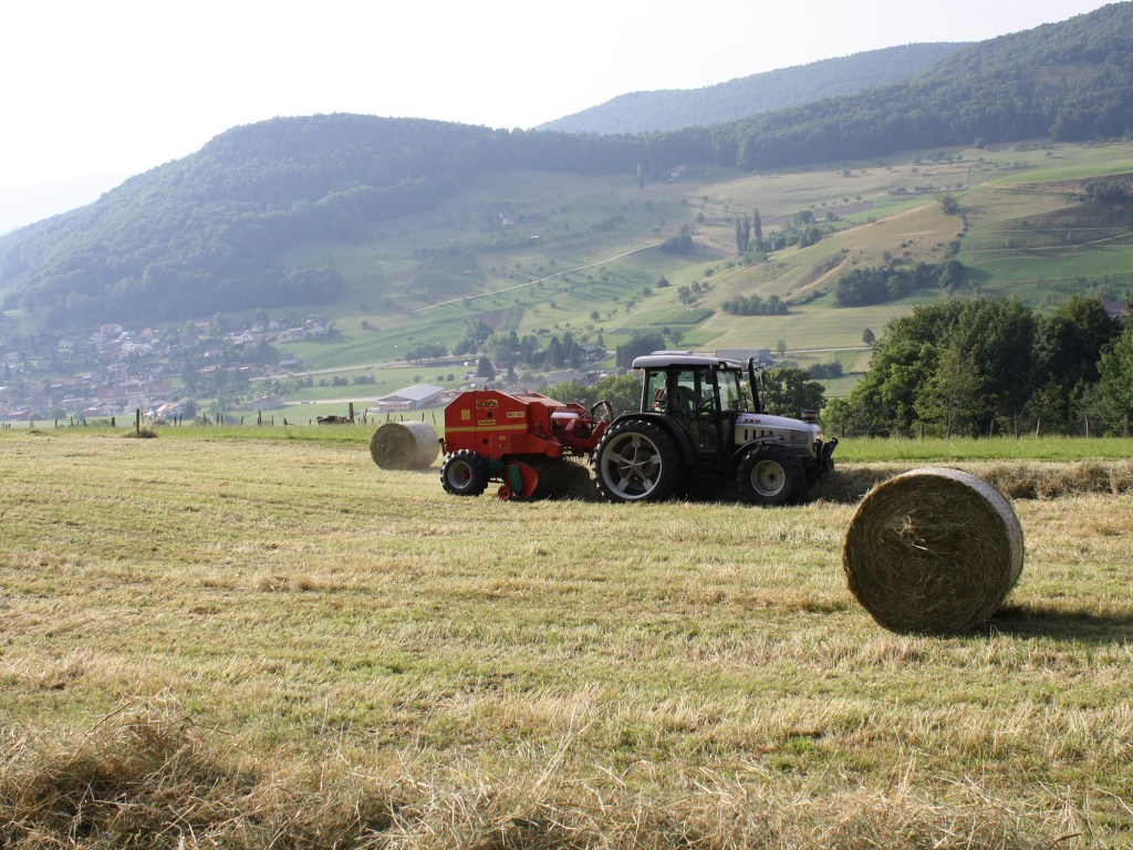 Bestes Heu aus eigener Produktion