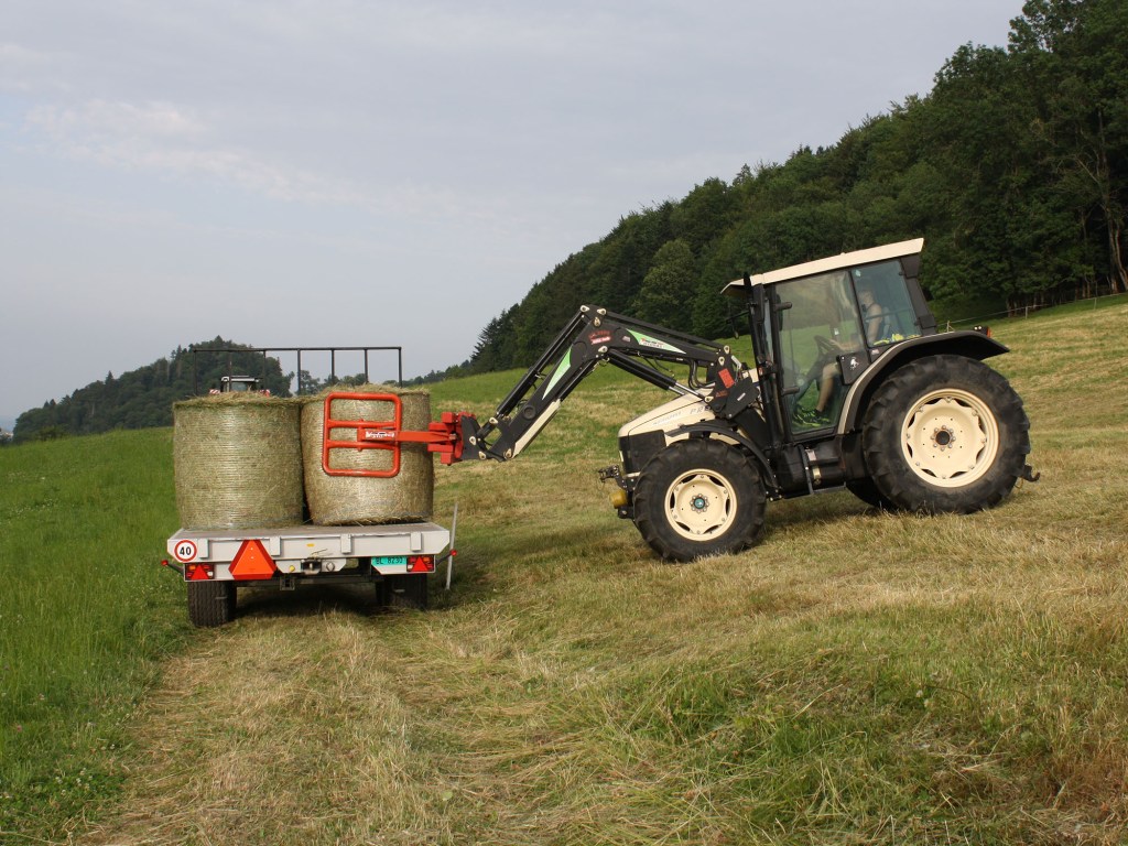 Bestes Heu aus eigener Produktion