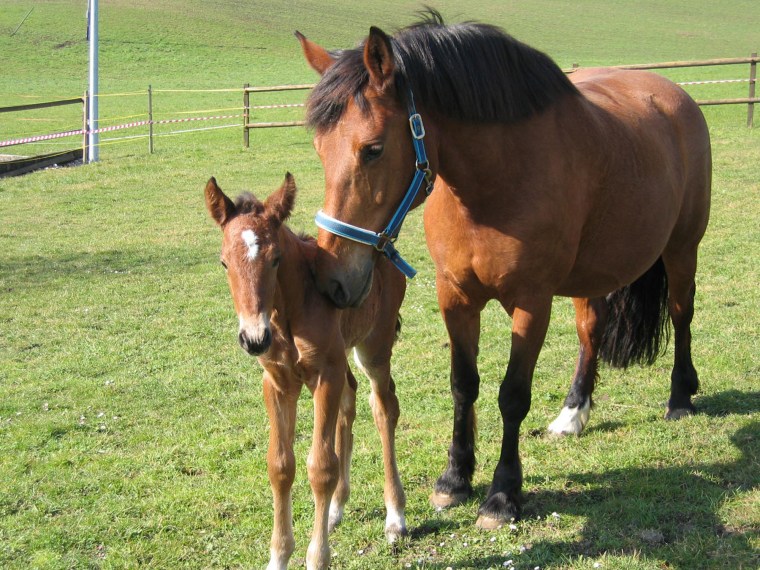 Malaika und Canada H