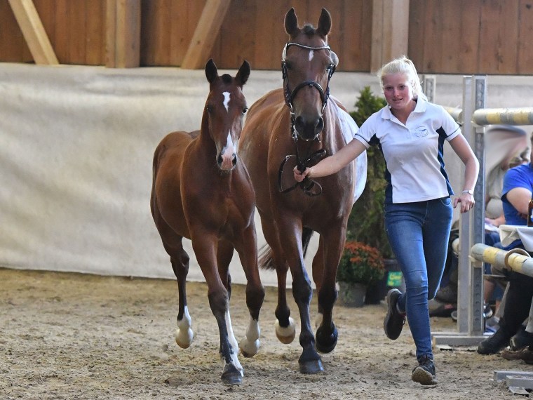 Enzo H mit Mahara H, geführt von Michelle Häner